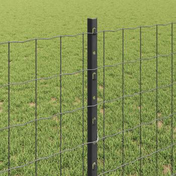 Euro-Zaun mit Pfosten 25 x 0,8 m PVC-beschichteter Stahl Grau