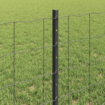 Euro-Zaun mit Pfosten 25 x 0,6 m PVC-beschichteter Stahl Grau