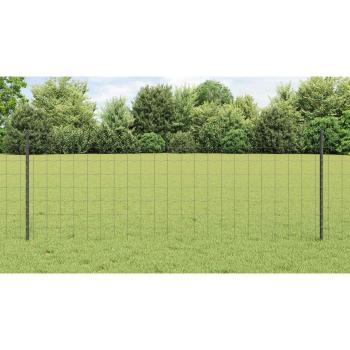 Eurozaun mit Pfosten 25 x 0,8 m PVC-beschichteter Stahl Grau