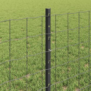 Euro-Zaun mit Pfosten 50 x 0,6 m PVC-beschichteter Stahl Grau