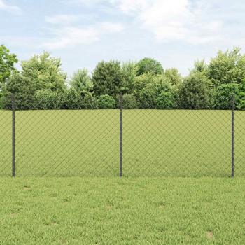ARDEBO.de - Maschendrahtzaun mit Pfosten 25 x 0,8 m PVC-beschichteter Stahl