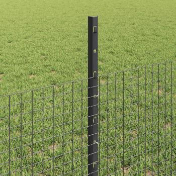 Zaun mit Pfosten Grau