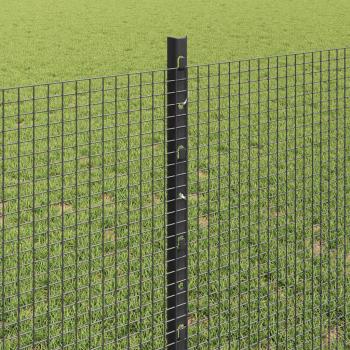 Geschweißter Drahtzaun mit Pfosten 50 x 0,8 m Grau Netz