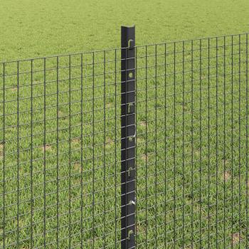 Geschweißter Drahtzaun mit Pfosten 50 x 0,8 m Grau Netz
