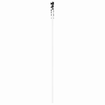 Schiebetür 61 x 198,5 cm Massivholz Kiefer und Glas Weiß