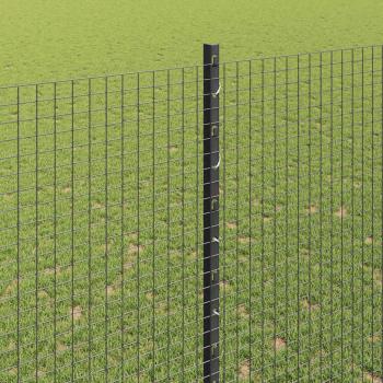 Geschweißter Drahtzaun mit Pfosten 25 x 1,5 m Verzinkter Stahl