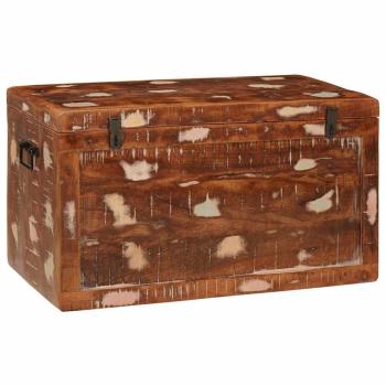 Aufbewahrungsbox mit Speicher mit Tür Braun Massivholz Mango