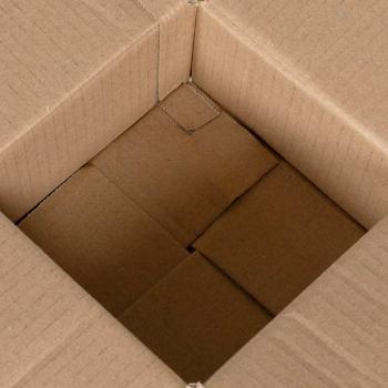 Faltbox mit Speicher 50 Stk. Natur 15 x 15 x 8 cm Karton
