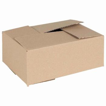 ARDEBO.de - Faltbox mit Speicher 50 Stk. Natur 25 x 17,5 x 10 cm Karton