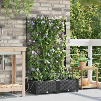 Garten-Pflanzgefäß 2 Stk. Schwarz 80 x 40 x 126 cm PP