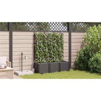 Garten-Pflanzgefäß 3 Stk. Schwarz 120 x 40 x 142 cm PP