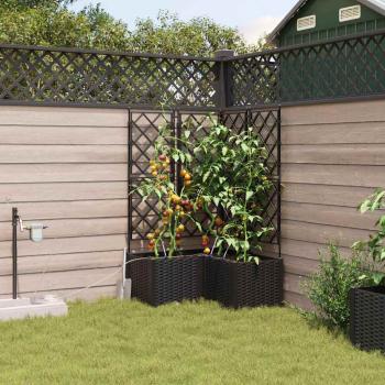 Garten-Pflanzgefäß 3 Stk. Schwarz 80 x 80 x 142 cm PP