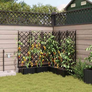 ARDEBO.de - Garten-Pflanzgefäß 5 Stk. Schwarz 120 x 120 x 126 cm PP