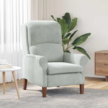 ARDEBO.de - Sessel Hellgrau Samt