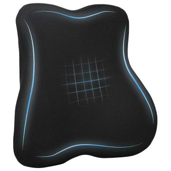ARDEBO.de - Rückenkissen Schwarz Viscoschaum 40 x 40 x 11 cm
