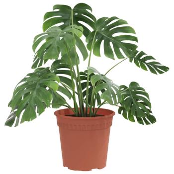 Runder Blumentopf 24 stk. Ziegelrot Ø 19 x 16 cm Kunststoff