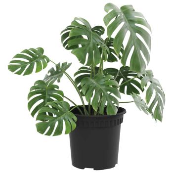 Runder Blumentopf 24 stk. Schwarz Ø 15 x 12 cm Kunststoff