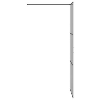 Walk-in Duschwand Schwarz 80 x 195 cm Gehärtetes Glas