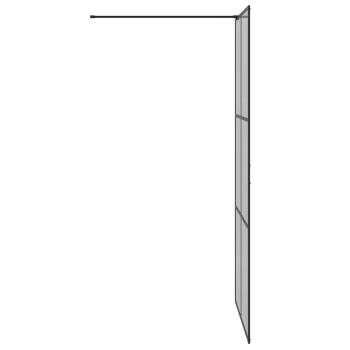 Walk-in Duschwand Schwarz 100 x 195 cm Gehärtetes Glas