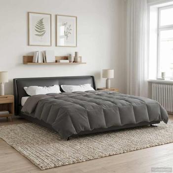 ARDEBO.de - Ganzjahresbettdecke Gepolstert Hellgrau 220 x 240 cm Mikrofaser