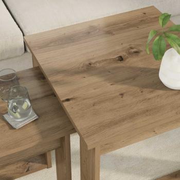 Kaffeetisch Set 2 stk. Artisan-Eiche 50 x 52 x 42 cm