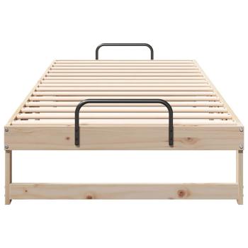 Bettrahmen Braun 100 x 220 cm Massives Kiefernholz