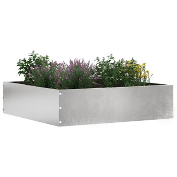 Rasenkante 50 x 50 x 13 cm Edelstahl Silber
