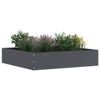 Rasenkante 60 x 60 x 13 cm Stahl Anthrazit
