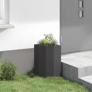 Eckpflanzer Schwarz 30 x 30 x 50 cm Stahl