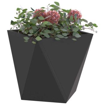 Pflanzkübel 2 Stk. Schwarz 30 x 30 x 30 cm Stahl
