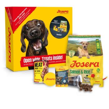 ARDEBO.de Josera Probierpaket Senior Hund