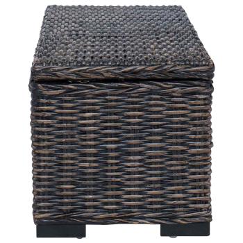 Aufbewahrungsbox Schwarz 110 x 35 x 45 cm