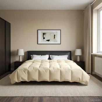Ganzjahresbettdecke 200 x 240 cm 4 Jahreszeiten Creme
