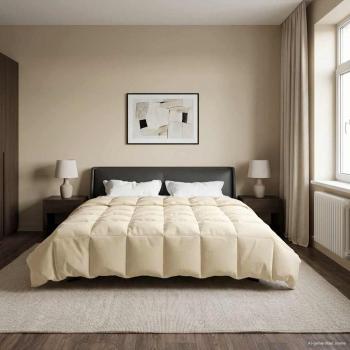 ARDEBO.de - Ganzjahresbettdecke 240 x 260 cm 4 Jahreszeiten Creme