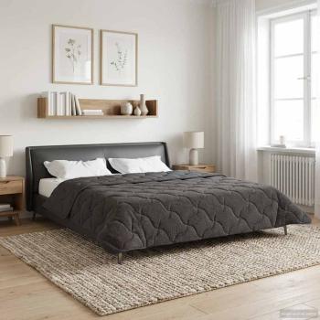 Sommerdecke Anthrazit 200 x 240 cm Mikrofaser und Teddy-Fleece