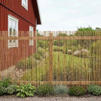 Gartenzaun Karbonisiert 500 x 100 cm Schilf