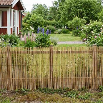ARDEBO.de - Gartenzaun Kohlenstoff 400 x 100 cm Schilf