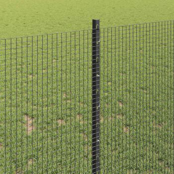 Geschweißter Drahtzaun mit Pfosten 10 x 1 m Verzinkter Stahl