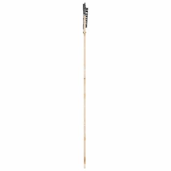 Schiebetür Natur 100 x 208 cm Massives Kiefernholz