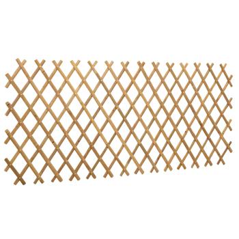 Erweiterbarer Spalierzaun 2 stk. 100 x 105 cm Bambus Hellbraun