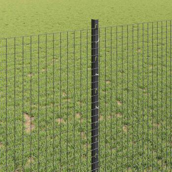 Geschweißter Drahtzaun mit Pfosten 10 x 1 m Verzinkter Stahl
