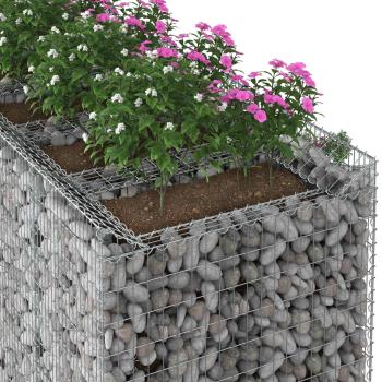 Gabionen-Hochbeet 2 stk. 200 x 100 x 60 cm Verzinkter Stahl