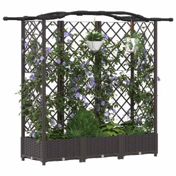Hochbeet mit Rankgitter und Dach Braun 163 x 40 x 123 cm PP