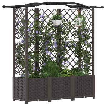 Hochbeet mit Rankgitter und Dach Braun 163 x 40 x 138 cm PP
