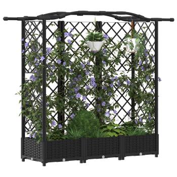 Hochbeet mit Rankgitter und Dach Schwarz 163 x 40 x 123 cm PP