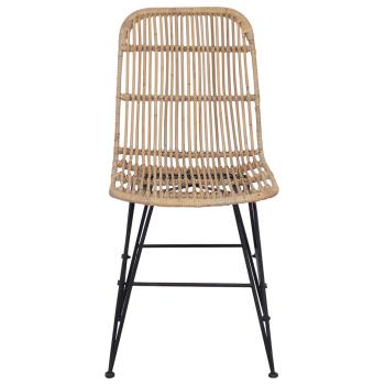 Esststuhl 2 Stk. Rattan und Stahl Natur 41 x 55 x 85 cm