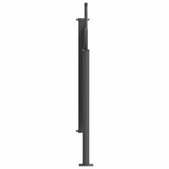Ausziehbares Seitenmarkise 300 x 100 cm Polyester Rechteckig