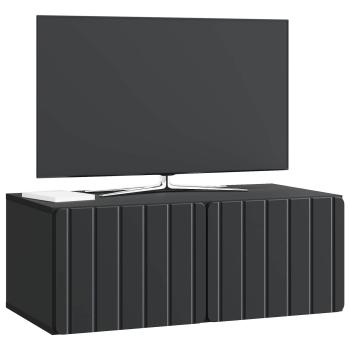 Wandmontierter TV-Schrank 78,5 x 41 x 30 cm Schwarz
