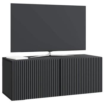 Wandmontierter TV-Schrank 78,5 x 31 x 30 cm Schwarz