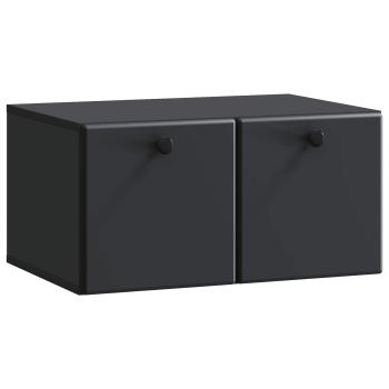 Wandmontierter TV-Schrank 59,5 x 41 x 30 cm Schwarz